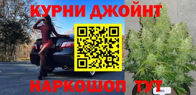 сатива Боровичи