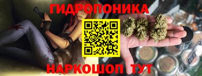 jwh Брянск
