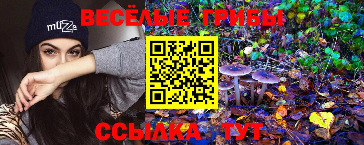 Галлюциногенные грибы GOLDEN TEACHER Белогорск