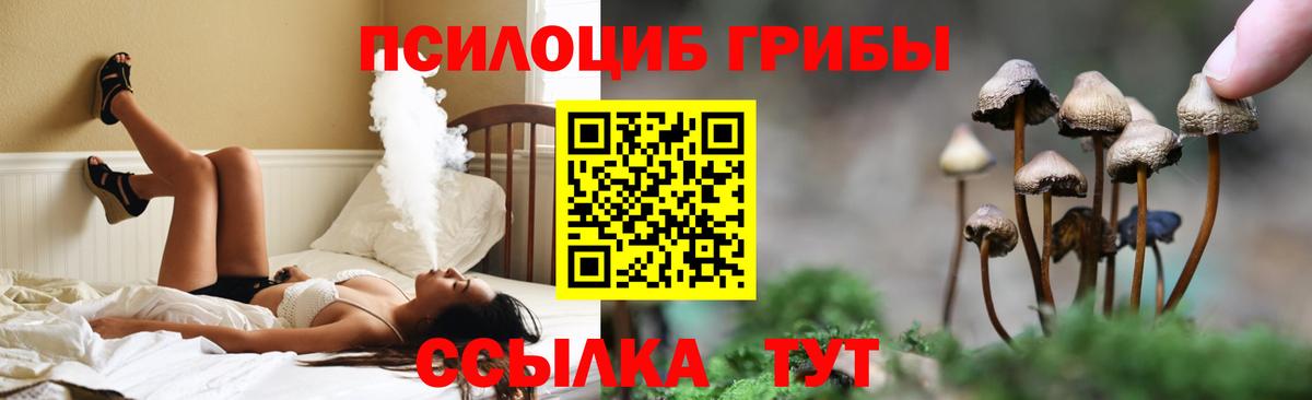 магазин    Псилоцибиновые грибы ЛСД  Вход с VPN  Белогорск 